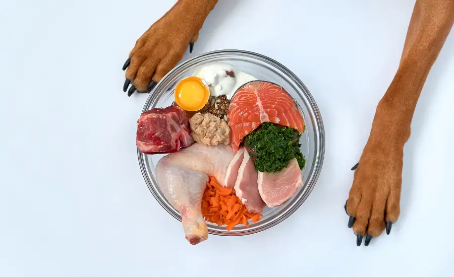 Pasje šape oko zdjele s raznovrsnom sirovom hranom uključujući sirovu piletinu, losos, goveđi odrezak, sirovi žumanjak, mrkvu, jogurt i zelje.