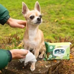 Eco Pet Wipes biorazgradive vlažne maramice za pse i mačke, idealne za čišćenje i njegu ljubimaca, ekološki prihvatljive i bez štetnih sastojaka.